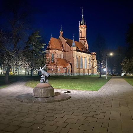 Cozy Center Apartment In Druskininkai Exteriér fotografie